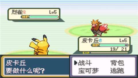口袋妖怪圣灰版