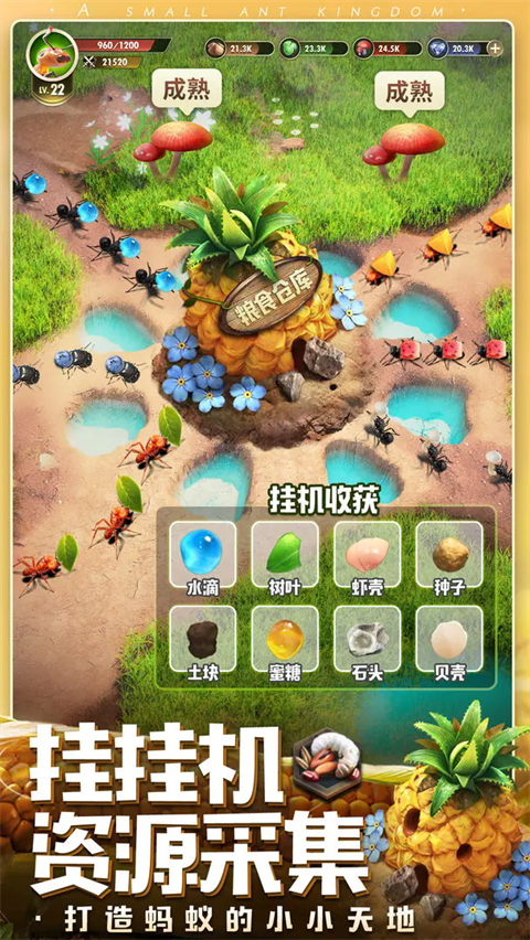 小小蚁国官服 v1.89.0图