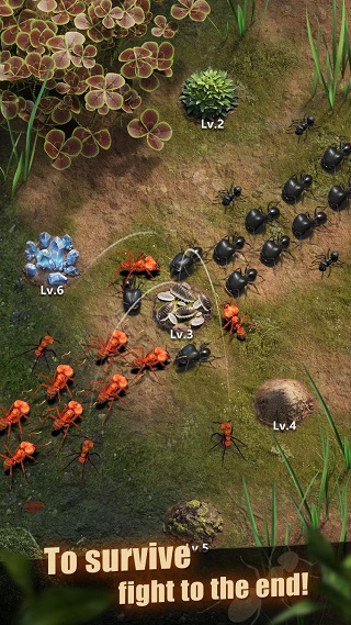 The Ants v3.32.0图