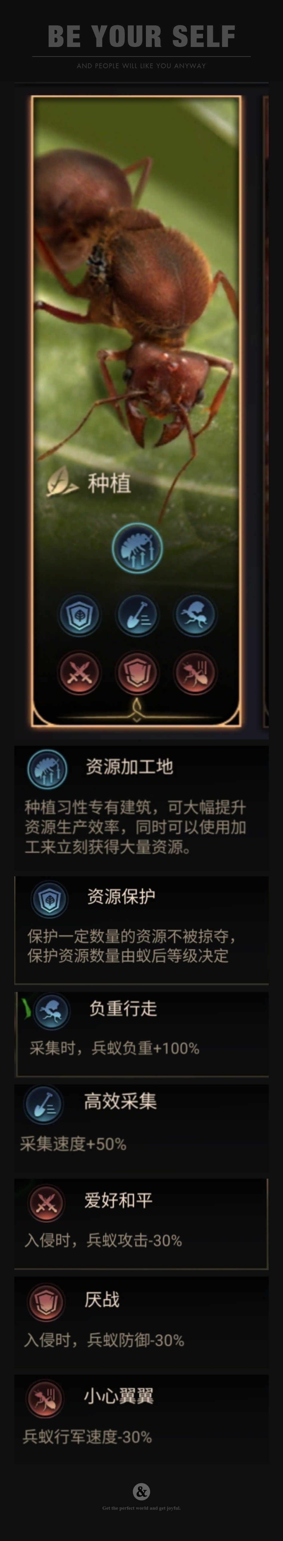 小小蚁国官服