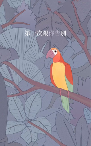 孤独的鸟儿