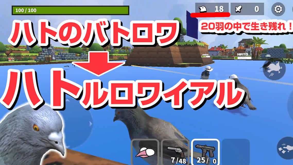 鸽子大逃杀 v1.1.0图