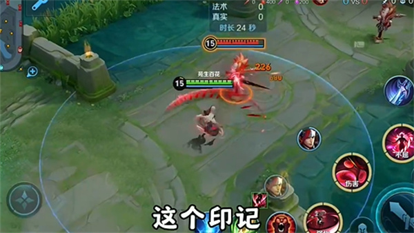 王者荣耀前瞻版