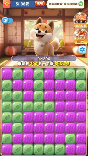 汪星人出击