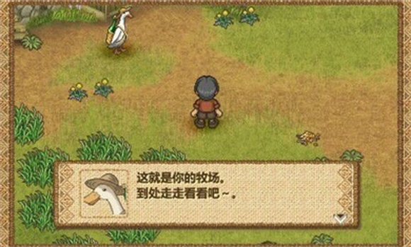 欢迎来到绵羊村 v1.0.6图