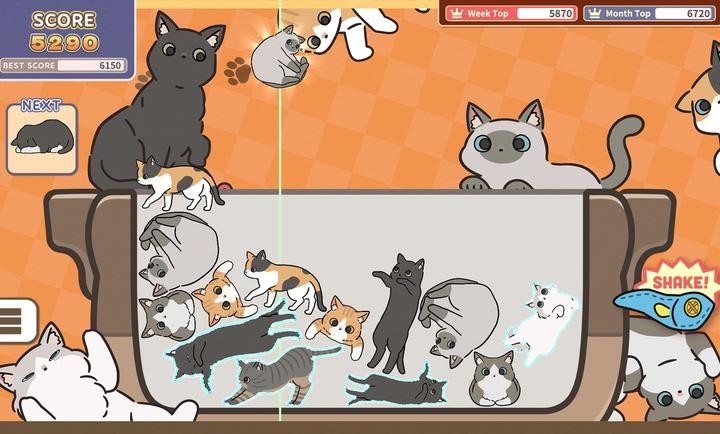 猫咪三重奏 1.0.0图