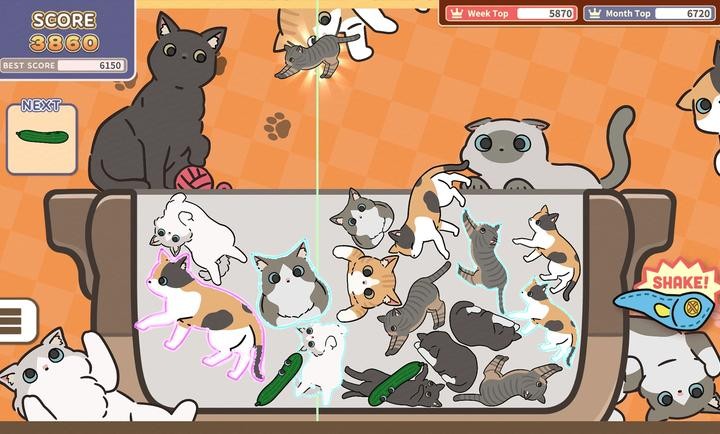 猫咪三重奏 1.0.0图