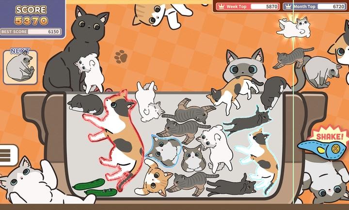 猫咪三重奏 1.0.0图