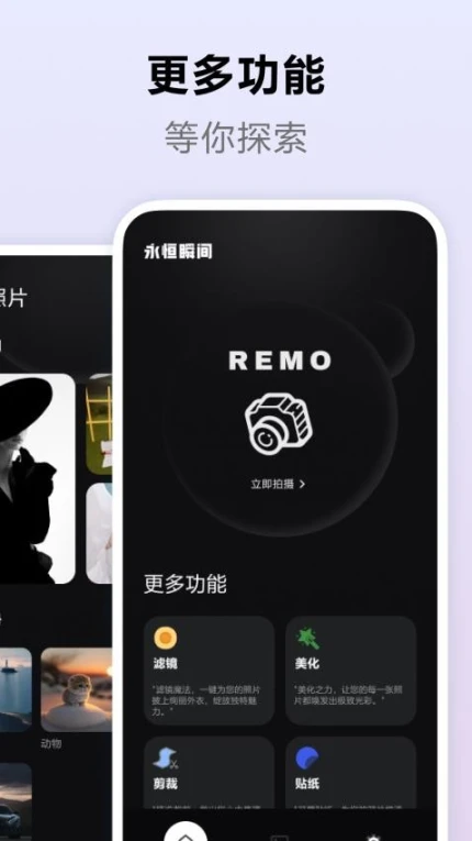Remo免费版 v1.0.0图
