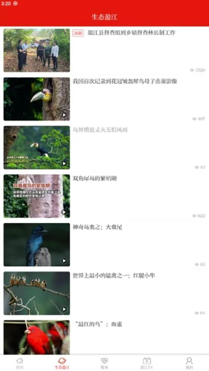 盈江云客户端图