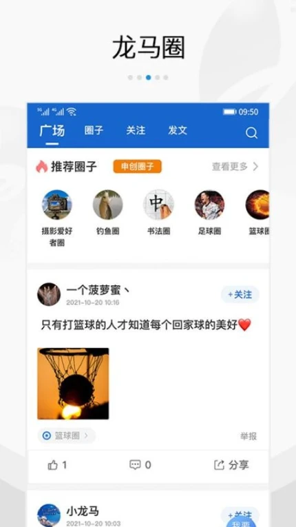 扬帆龙马软件 v4.9图