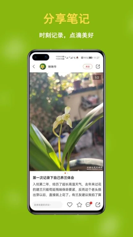 兰花交易网app v6.2.3图