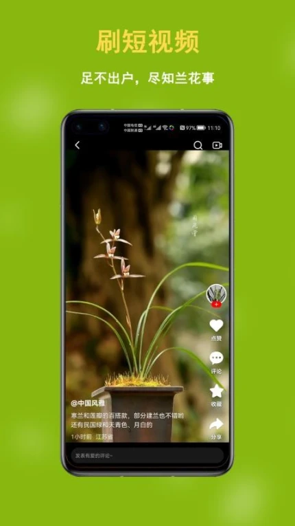兰花交易网app v6.2.3图