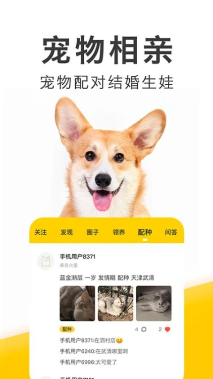 有只宠物app v2.3.6图