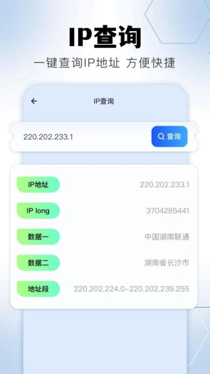 金砖弱网助手官网版 v1.1图