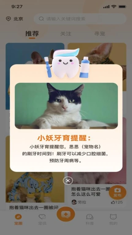 拾光宠官网版图