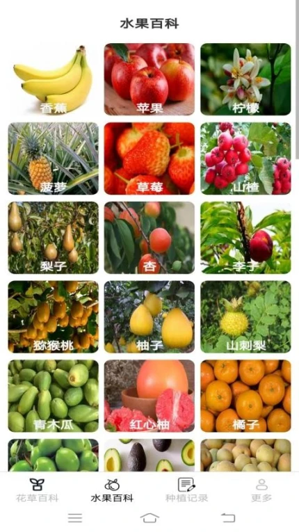 妙手花园免费版图