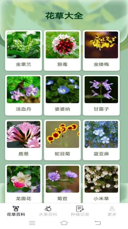 妙手花园免费版图