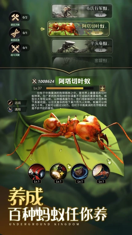 小小蚁国 v1.73.0图