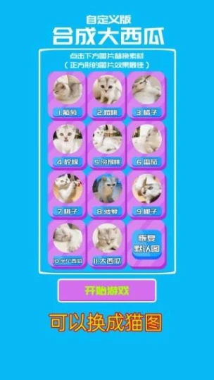 合成大西瓜 v2.31图