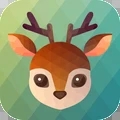 禅意涂色安卓版 v1.0.0