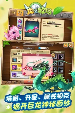 育龙高手图