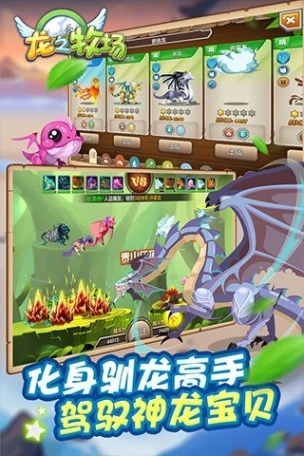 育龙高手图