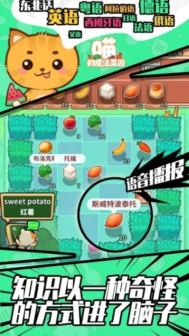 喵的魔法菜园图
