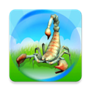 昆虫进化大乱斗 v1.0