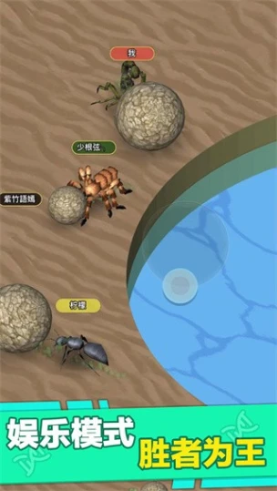 昆虫进化大乱斗 v1.0图