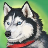美国zoom动物(Dog Simulator - Animal Life)手机版