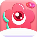 花芯直播
