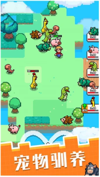 像素宠物之精灵进化图