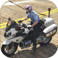 狂野暴力摩托车游戏 v1.0