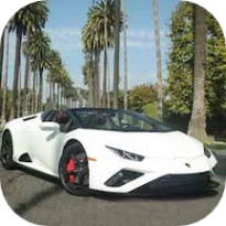 终极赛车狂飙 v1.06