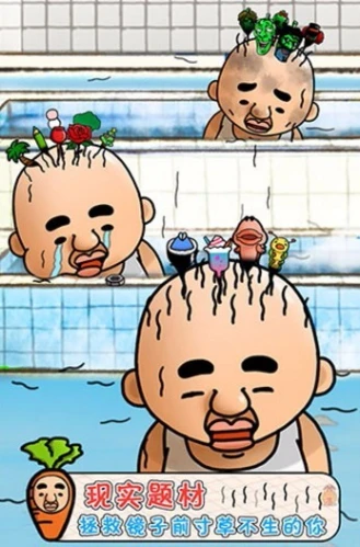 头发栽培日记游戏