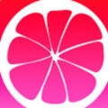 柚子直播安卓版