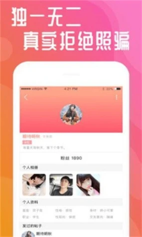 应用界面