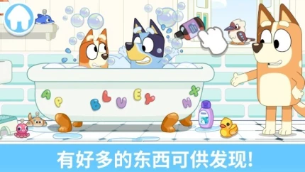 布鲁伊一起玩图