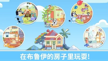 布鲁伊一起玩图