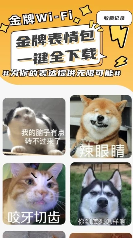 金牌WiFi最新版 v2.0.2图