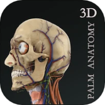 掌上3D解剖免费版