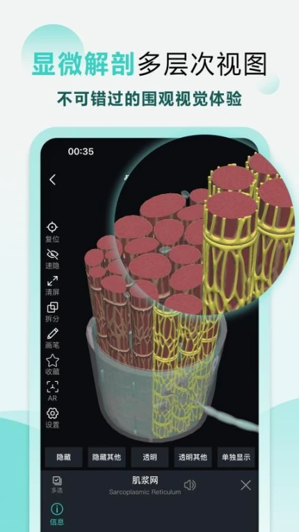 掌上3D解剖免费版图