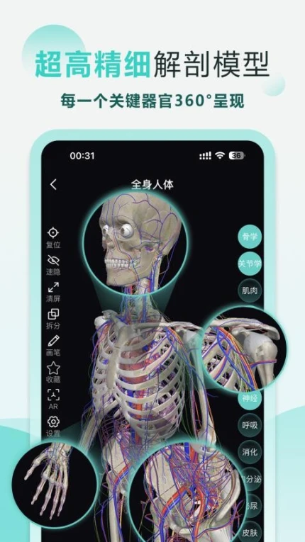 掌上3D解剖免费版图