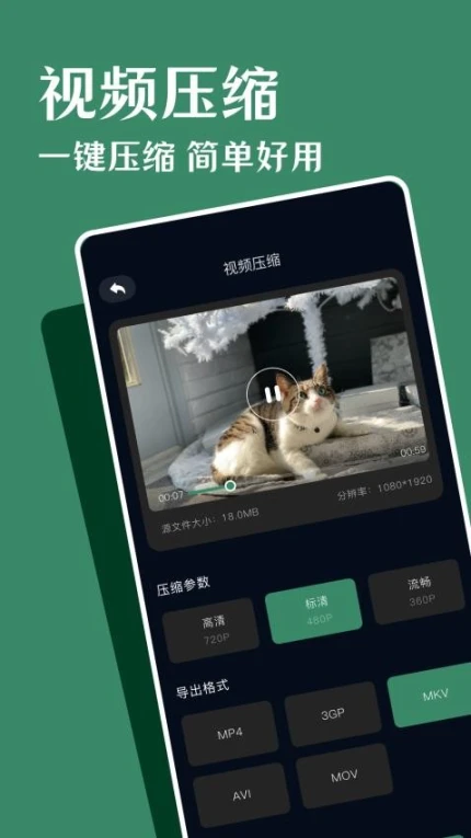 鲨鱼影视播放器官方版图