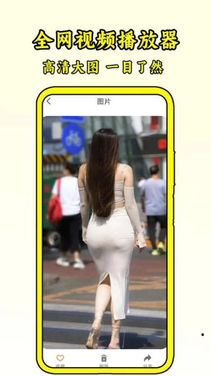 全网视频播放器免费版图