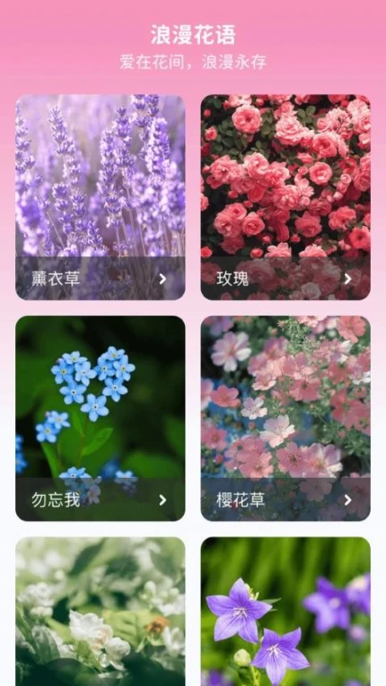 妙手生花官网版图