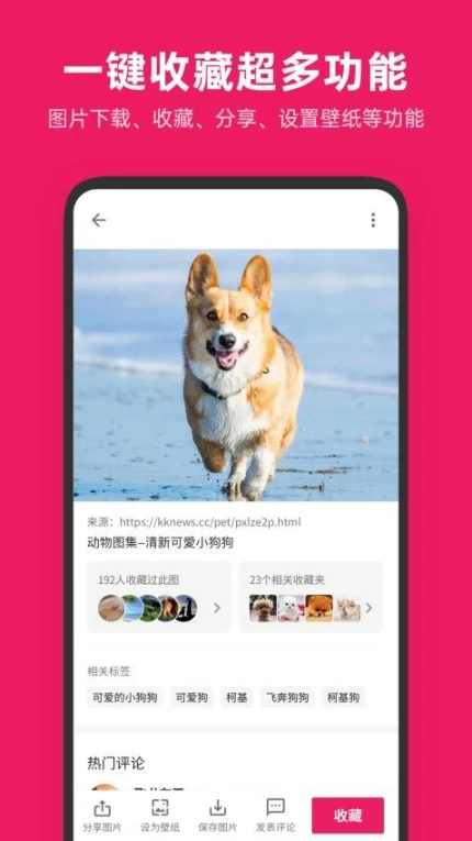 图片搜搜最新版本图