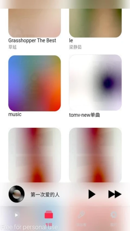 DS Music+免费版 v2.9图