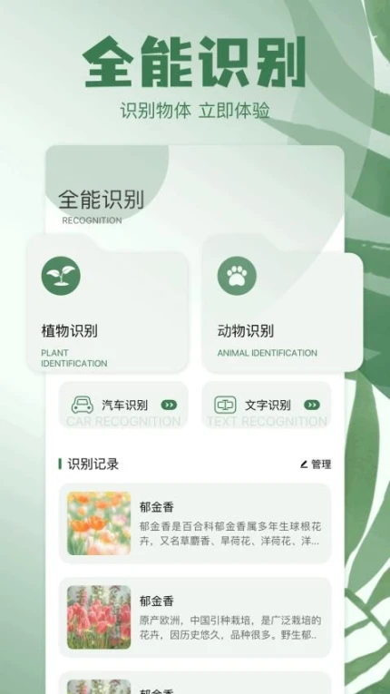 神奇工具官网版 v1.1图
